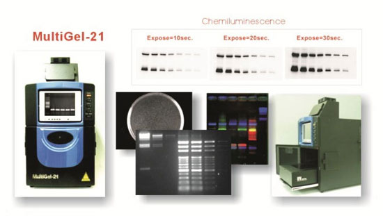 multigel overview